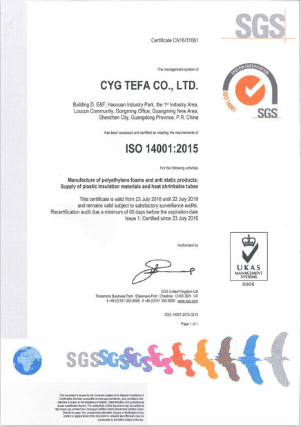 중국 Cyg Tefa Co., Ltd. 인증